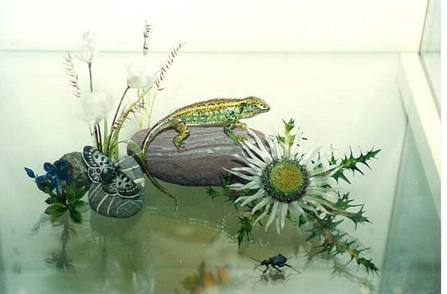 Невероятные работы из стекла