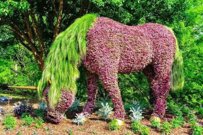 ​Невероятные скульптуры из растений
