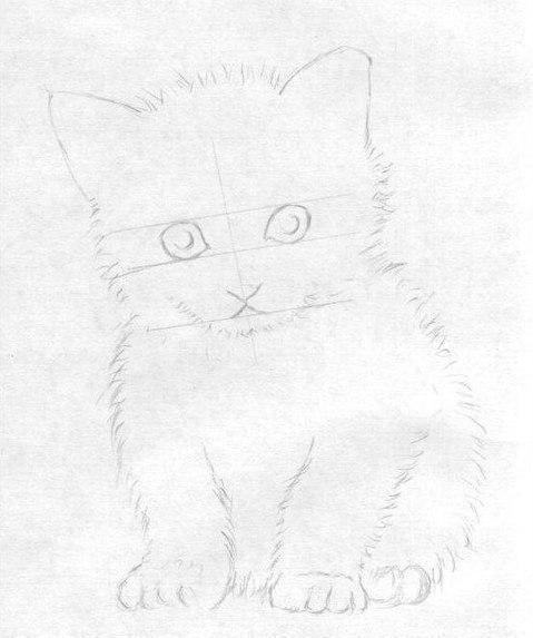 Рисуем маленького котёнка: пошаговый урок