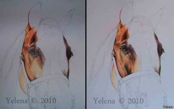 ​Урок рисования лошади