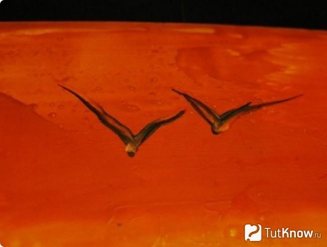 Как рисовать утюгом: техника для начинающих