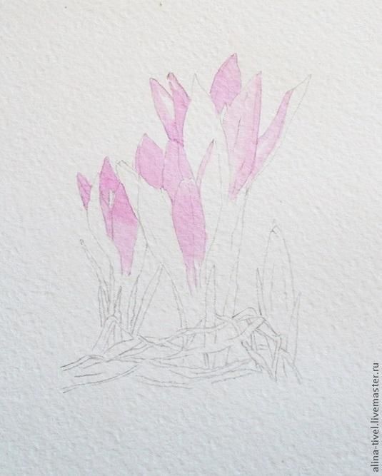 Нежные крокусы