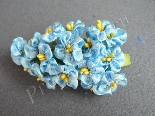​Нежные маленькие голубые цветы