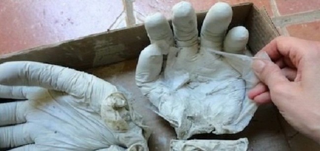 ​Цветы в ладонях