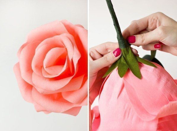 Гигантские розы из креповой бумаги