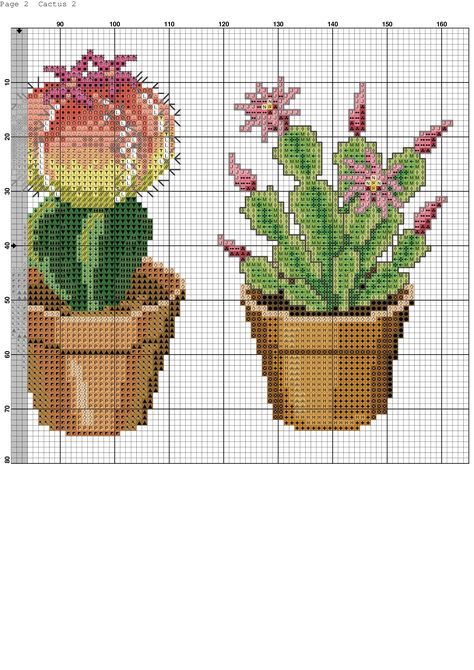 Вышиваем цветущие кактусы