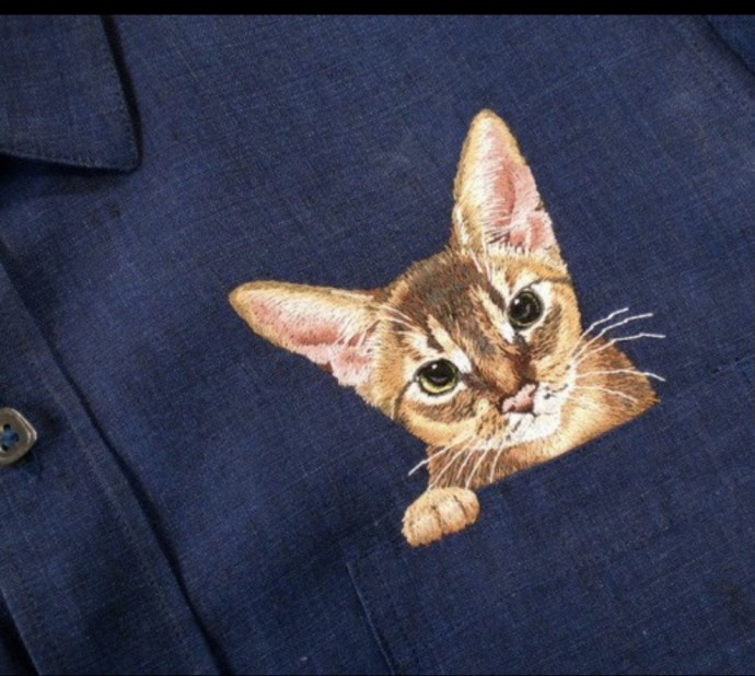 Забавные варианты украшения одежды вышивкой с кошками