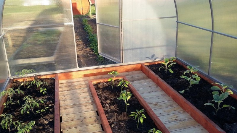 Интересные идеи для теплицы