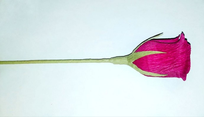 Роза из гофрированной бумаги