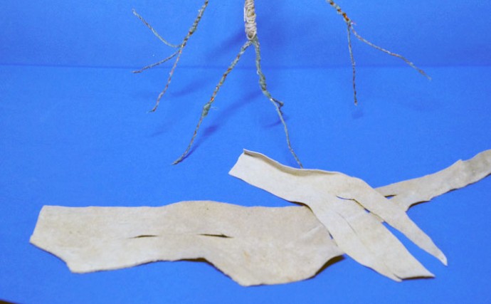 Фантастические твари