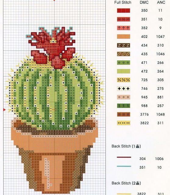 Вышиваем цветущие кактусы