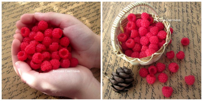 Малина из полимерной глины