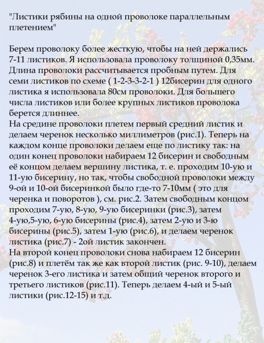 Рябина Рябина