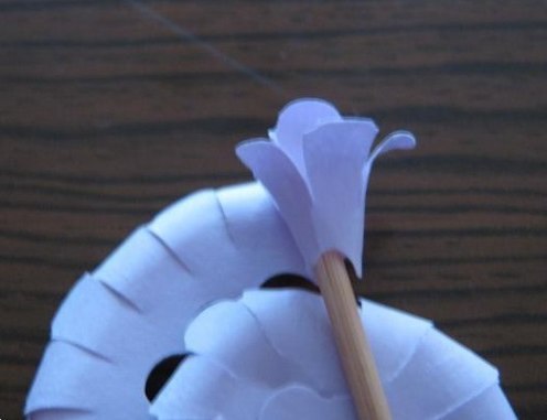 Цветы из бумаги: дельфиниумы