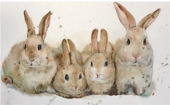 Кролики акварелью