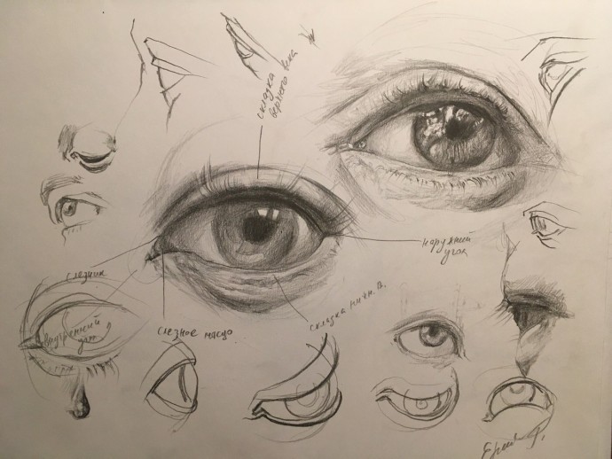 Учимся рисовать части лица
