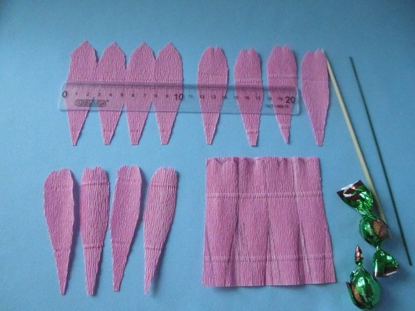 ​Пышная роза со сладким секретом