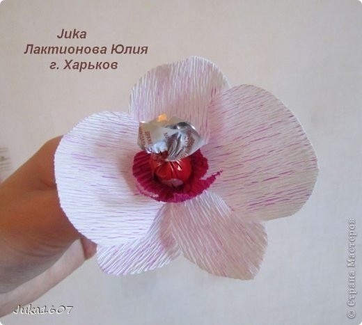 Букет из конфет: мастер-класс Букет из конфет: мастер-класс