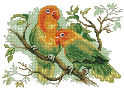 ​Вышиваем попугайчиков неразлучников