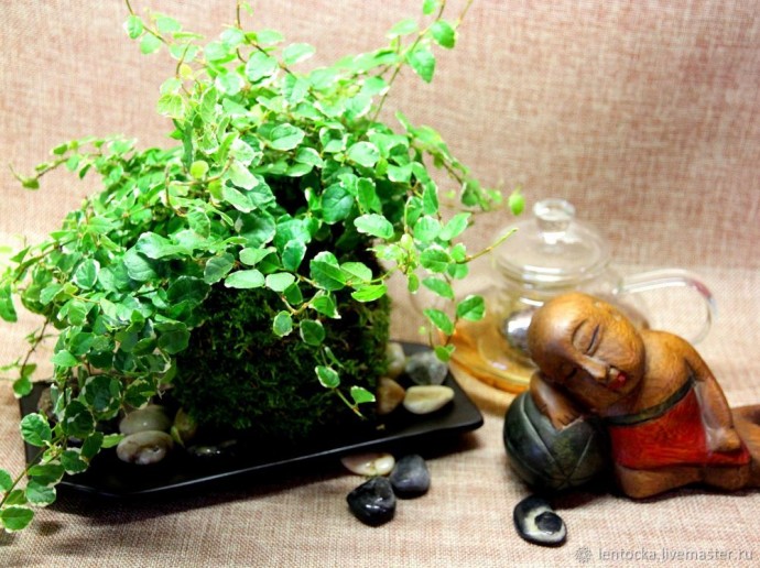 Лесной мох в интерьере