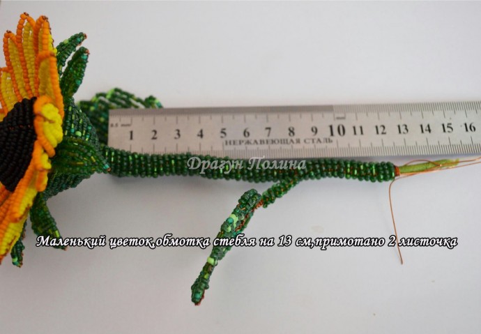 ​Солнечные подсолнухи