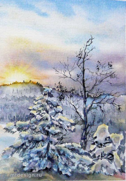 ​Пейзаж с зимними ёлками