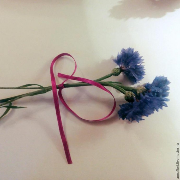 6 способов засушить васильки