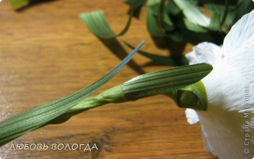 Нарциссы из гофрированной бумаги