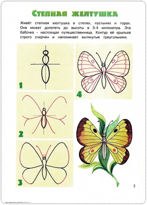 Простые уроки рисования: бабочки и их друзья