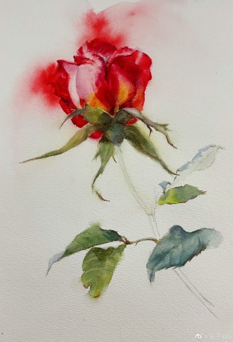 ​Урок рисования акварелью: роза