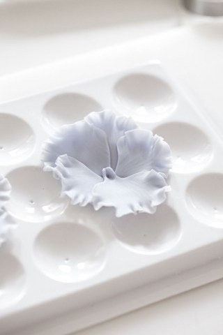 Анютины глазки