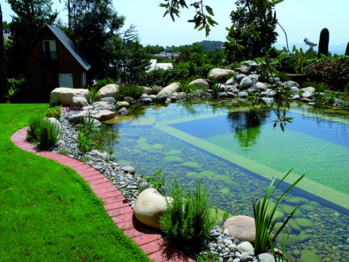 Идеи прудов-бассейнов во дворе