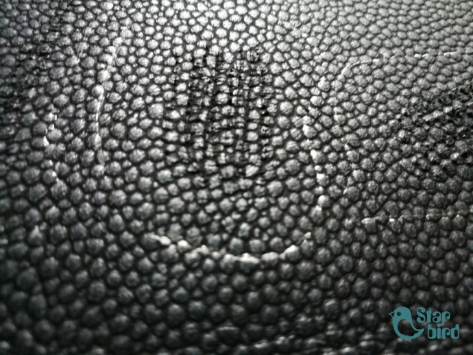 Аппликация в виде рыбки