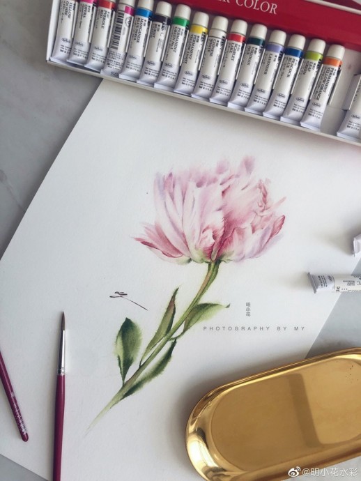 Урок рисования акварелью: тюльпан