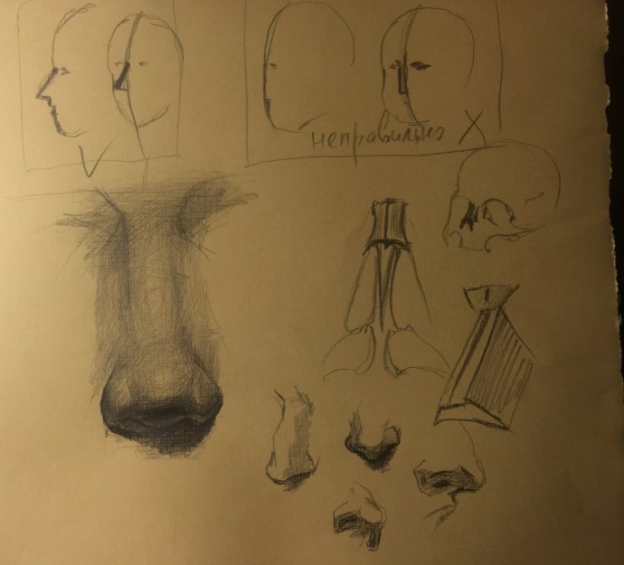 Учимся рисовать части лица