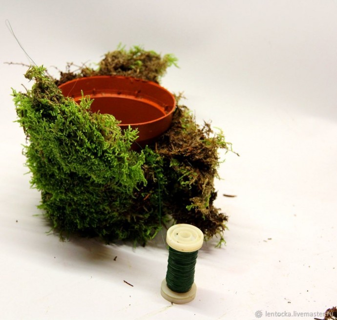 Лесной мох в интерьере