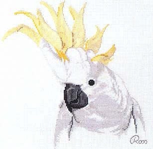 ​Попугаи какаду