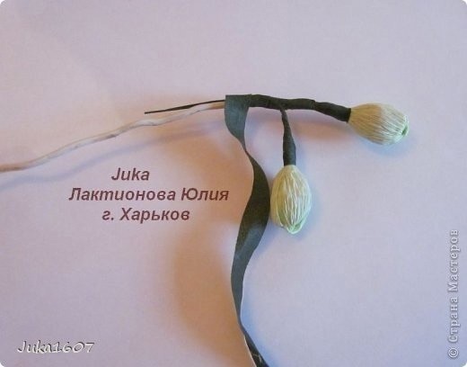 Букет из конфет: мастер-класс Букет из конфет: мастер-класс