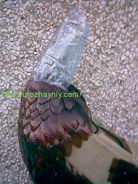 Павлин из пластиковых бутылок своими руками