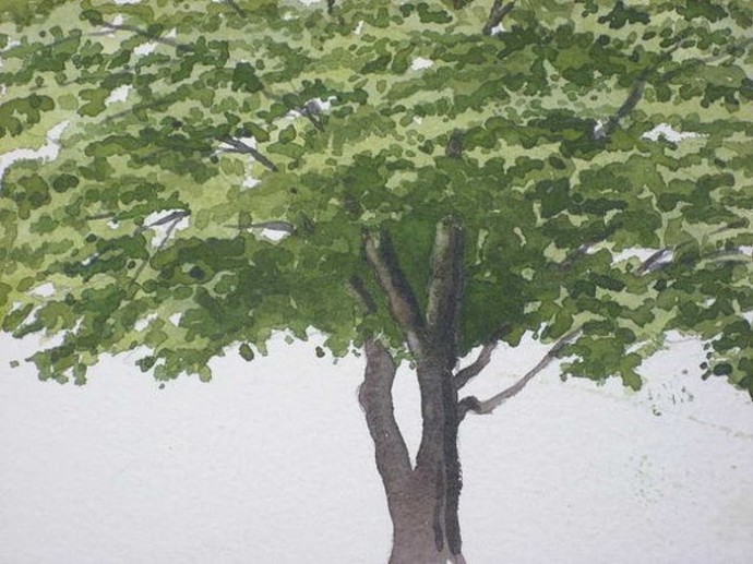 Как нарисовать дерево акварелью