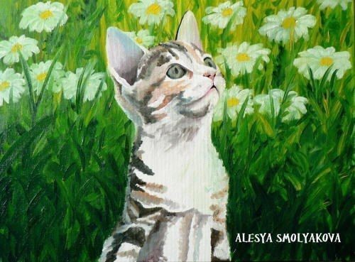 ​Котёнок среди ромашек