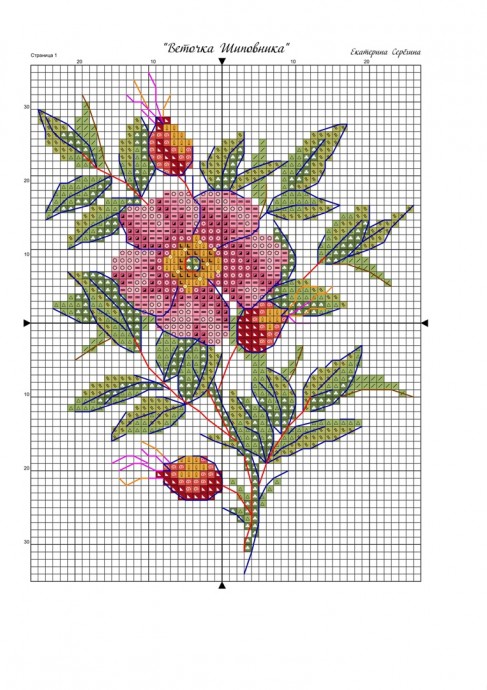 ​Вышиваем шиповник