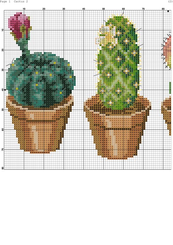 Вышиваем цветущие кактусы