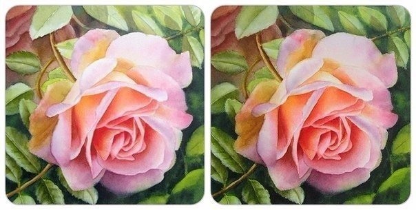 Учимся рисовать розу акварелью