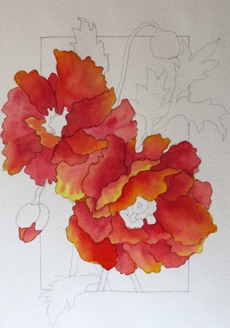 Маки акварелью