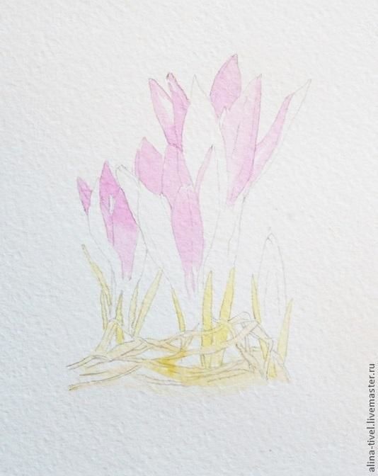 Нежные крокусы