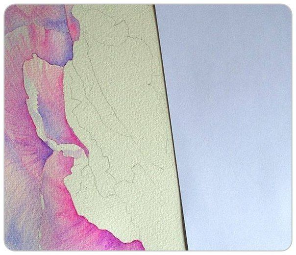 Акварельные цветы, наполненные солнечным светом