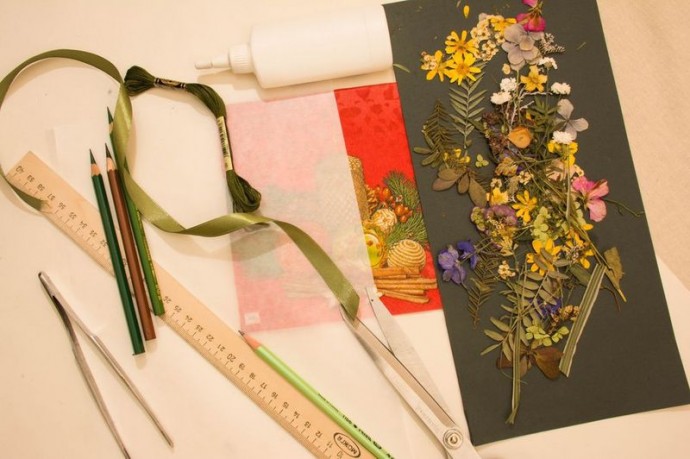 Закладка-гербарий "Мгновения"