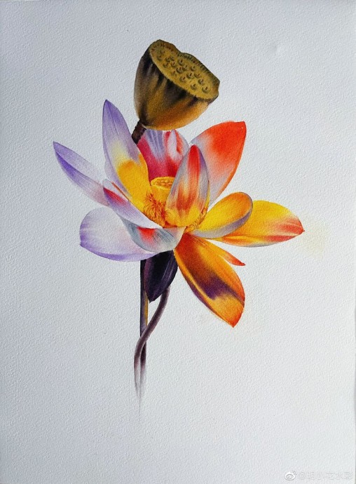 Урок рисования акварелью: лотос