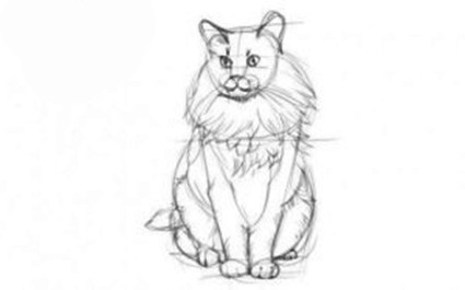 Рисуем кота мейн-куна